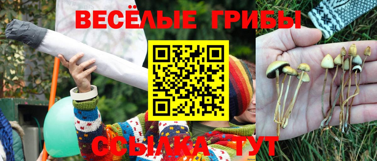 цена   Галлюциногенные грибы Psilocybine cubensis  Псилоцибиновые грибы MAGIC MUSHROOMS  Вход с VPN  Батайск 